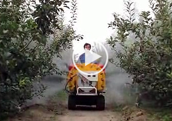 Hand sprayed fruit orchard plant protection operations